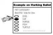 Examine the ballot