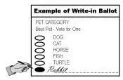 write in name